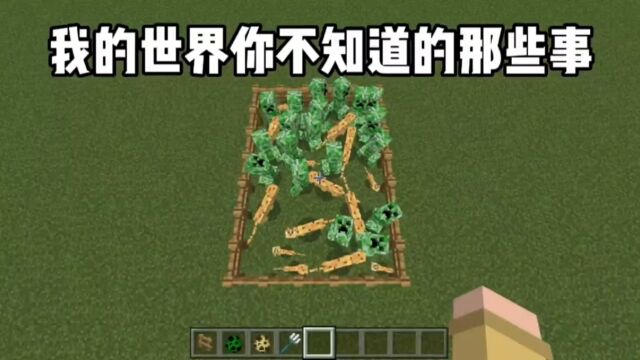 我的世界:你不知道的那些事