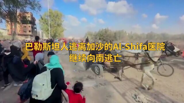 巴勒斯坦人逃离加沙的AlShifa医院