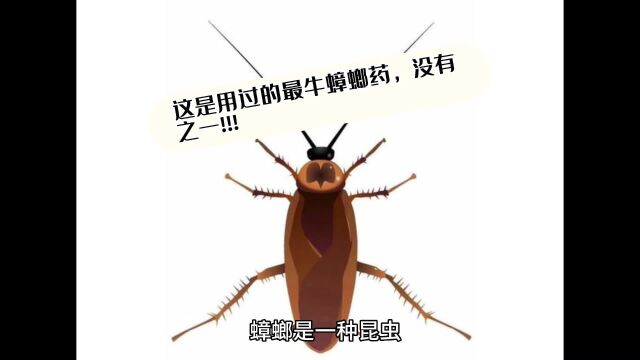 家里有蟑螂是什么原因造成的?