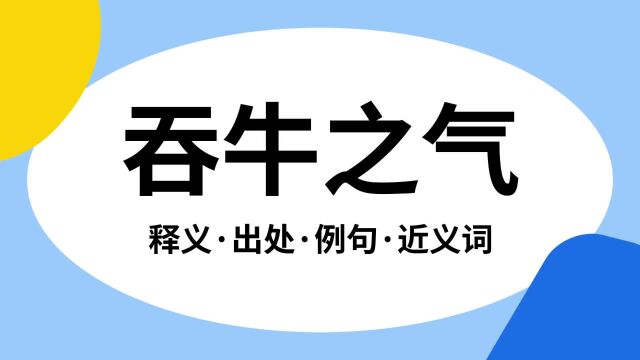 “吞牛之气”是什么意思?