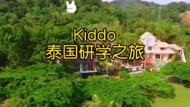 Kiddo泰国研学