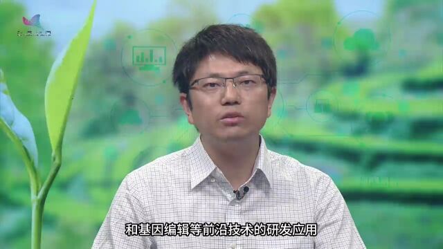 科普视频 | 基础研究见成效 我国生物育种有哪些成果?