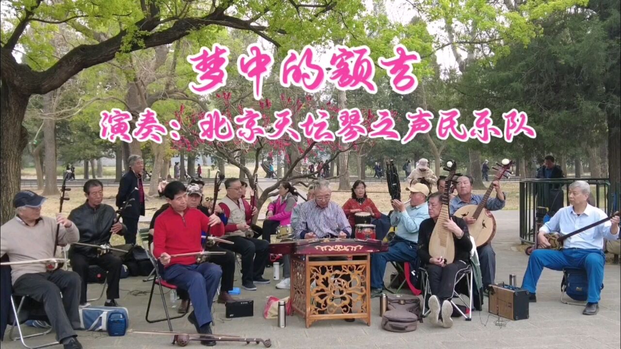 歌曲《夢中的額吉》,北京天壇琴之聲民樂隊演奏,深情感人