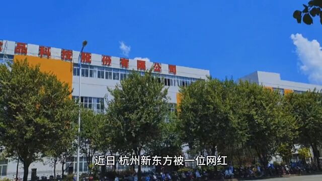 杭州新东方被网红举报停课,教育局: 若查实为学科类培训将叫停