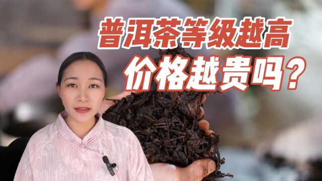 普洱茶是不是原料的等级越高,价格就越贵?看完你就明白了!