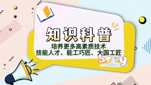 培养更多高素质技术技能人才、能工巧匠、大国工匠