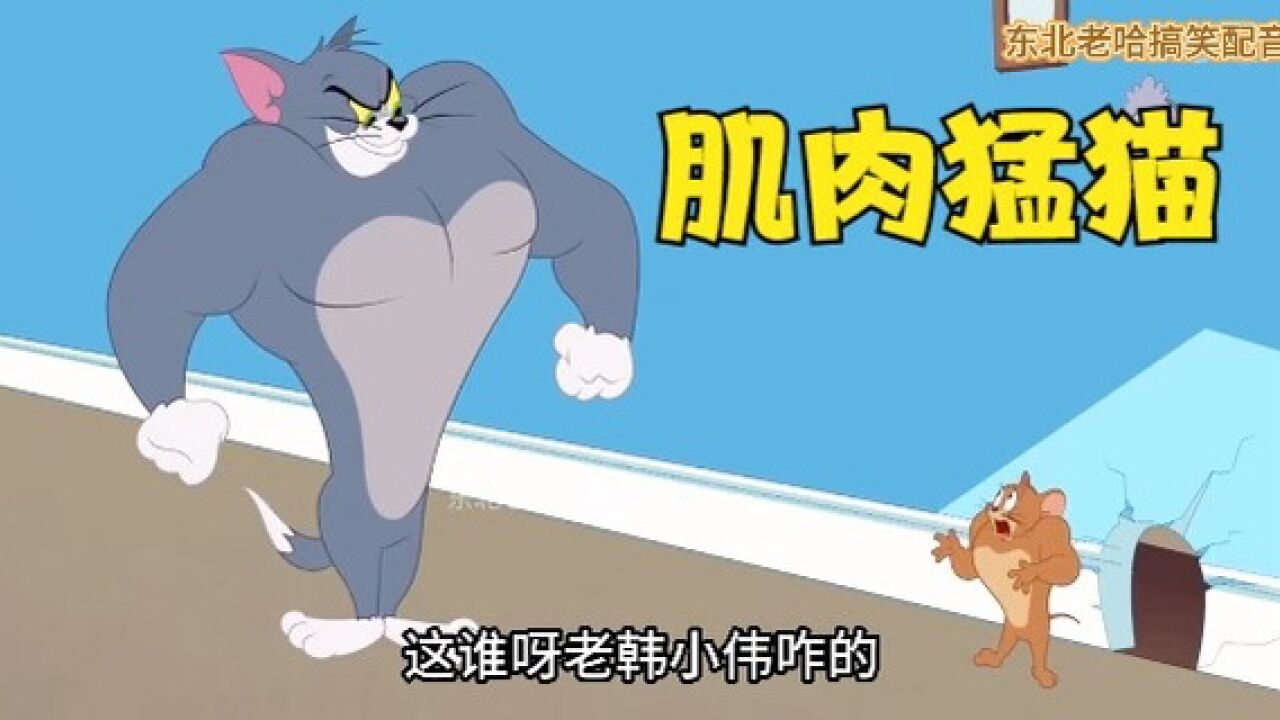 杰瑞表哥送来健身器材,汤姆杰瑞成肌肉男!