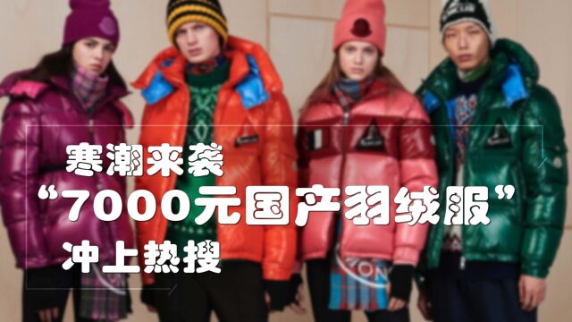 寒潮来袭,“7000元国产羽绒服”冲上热搜