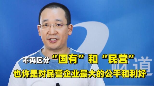 不再区分“国有”和“民营”,也许是对民营企业最大的公平和利好