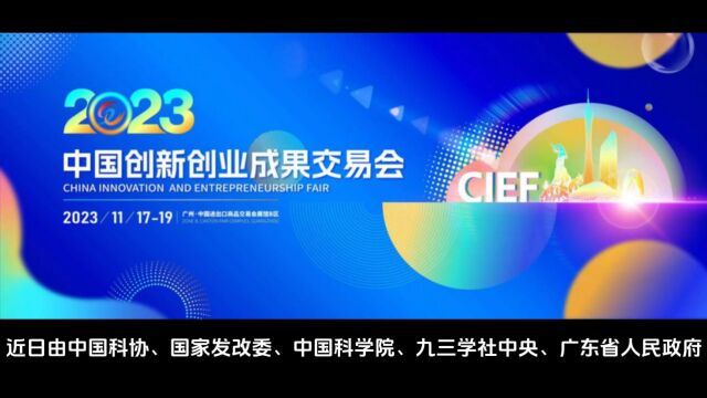 龙联科技精彩亮相长三角文博会和广州创交会,互动展柜广受好评