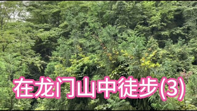 从四川德阳绵竹三溪寺徒步穿越到绵竹林海居,沿途所见(3)