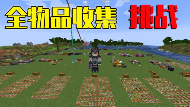 我的世界:爆肝20天!达成收集MC全部物品