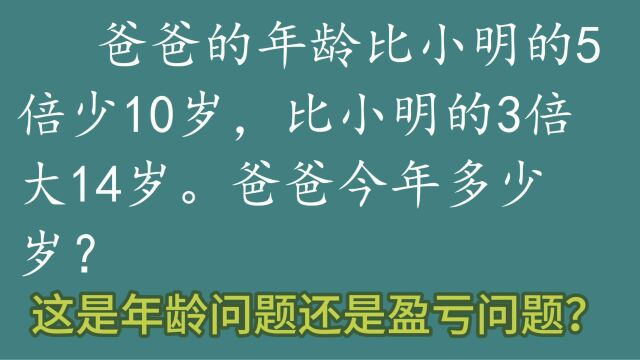 年龄、盈亏综合题