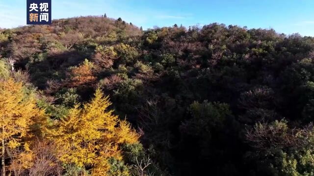 心动预警!湖南的初冬美景“拍了拍”你