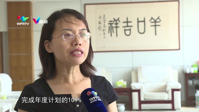 羊口镇:优化营商环境 助力企业高质量发展