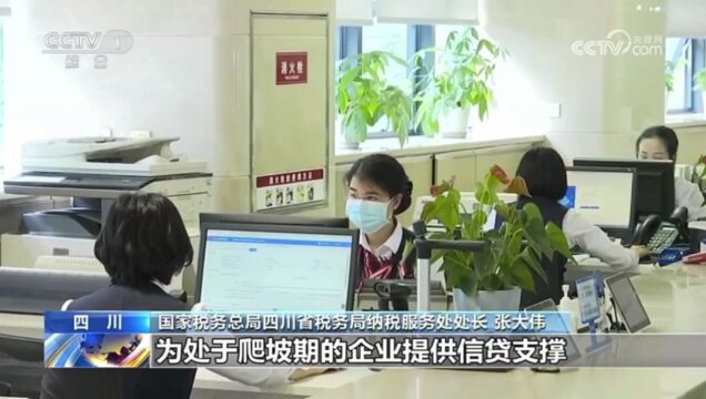 央视聚焦:28条便民办税缴费措施助力民营经济高质量发展