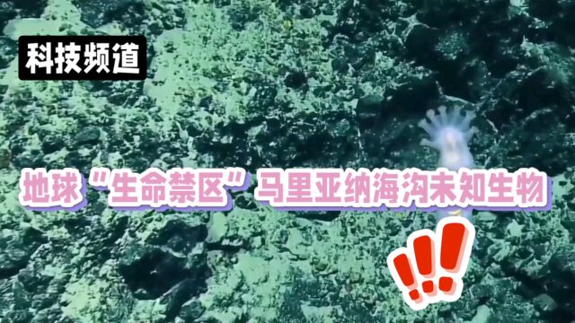 马里亚纳海沟:地球最深处的生命禁区探秘