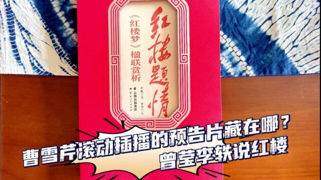 曹雪芹滚动插播的预告片藏在哪?云南大学文学院副教授曾莹,云南书法家协会副主席李轶说红楼