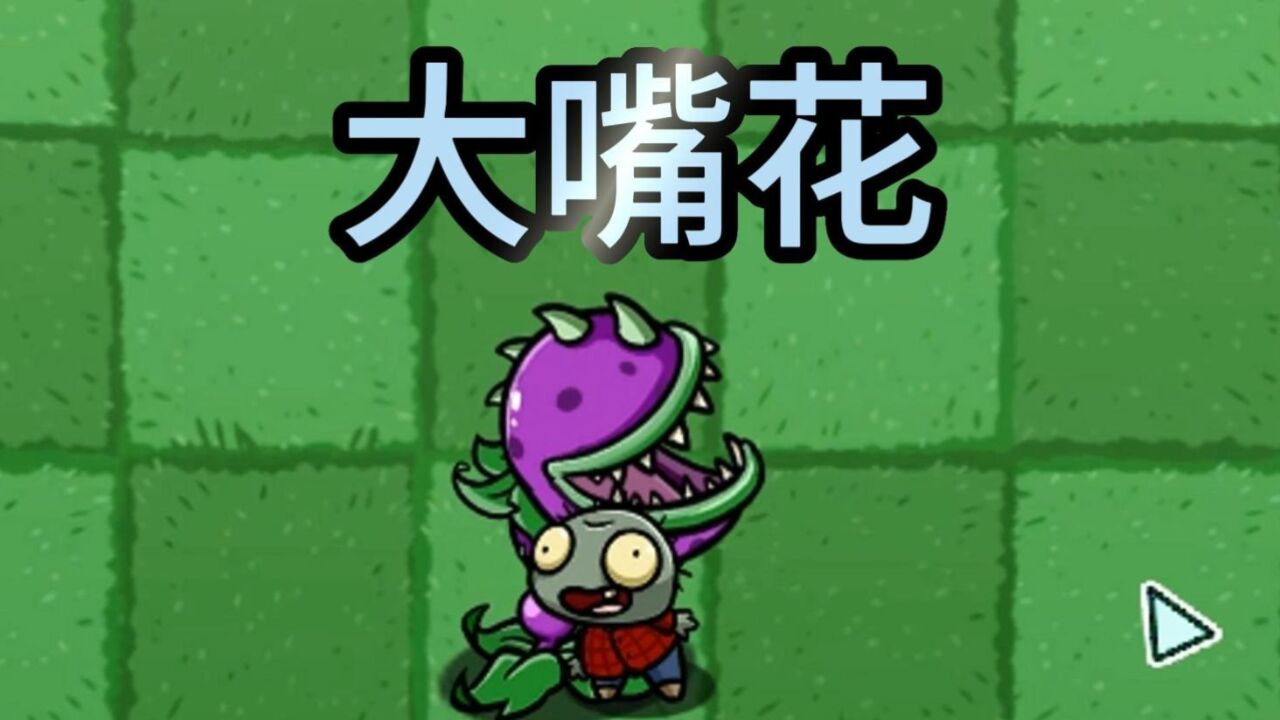 植物大战僵尸:有趣的植物—大嘴花