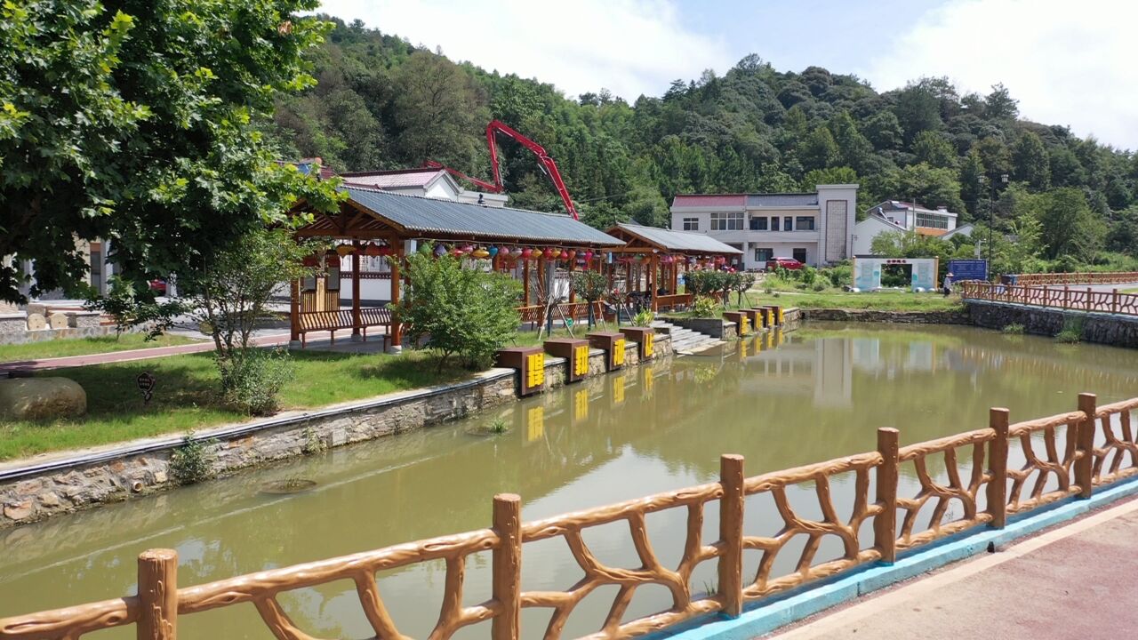 希望的田野:南陵县状元村