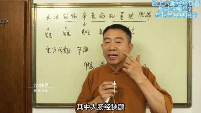 刘恒易经:脸上六腑经络位置都对应哪里?与相学息息相关