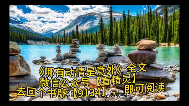 纪知意傅明楼无删减版《哪有动情是意外》全文