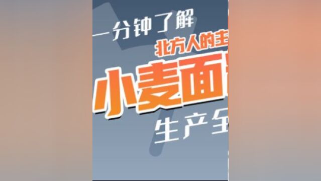 小麦的麦麸、胚芽和胚乳,哪种是生产小麦面粉的原料?答案是胚乳