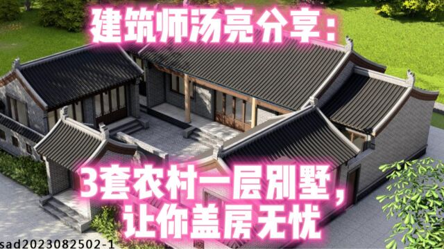 建筑师汤亮分享:3套农村一层别墅,让你盖房无忧