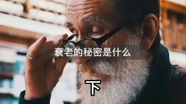 人体衰老的秘密是什么?认真看完这个视频,你会找到答案! #涨知识 下