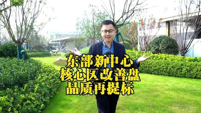 东部新中心核心区改善盘,四川邦泰东方雅颂品质再提标!揭秘全部细节…#合肥买房 #合肥房产 #合肥楼市