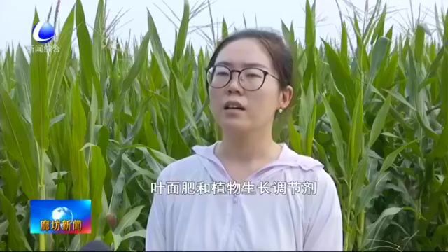 廊坊新闻直通车丨我市各地企业加大创新力度 不断提升发展质效;我市各地多措并举确保秋粮丰收......