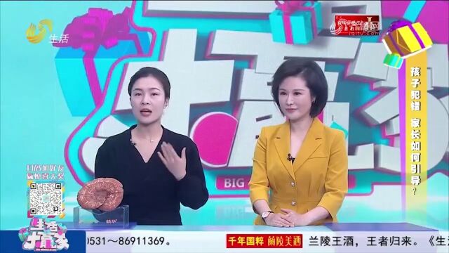 孩子犯错后,家长过于苛责,会引起什么样的后果?