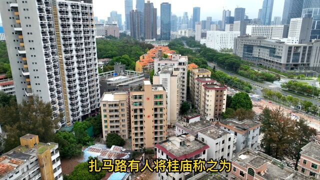 深圳上千城中村中,桂庙新村出身“豪门”,位于深圳最牛的粤海街道,桂庙新村,背靠深圳大学面朝腾讯大楼,换你愿意一夜暴富还是继续收租呢?#拆迁#...