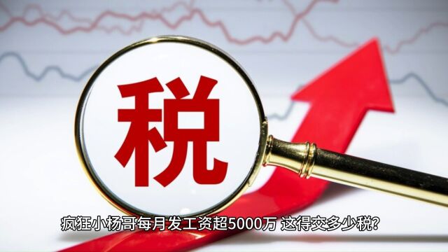 疯狂小杨哥每月发工资超5000万,这得交多少税?园区低税率了解一下