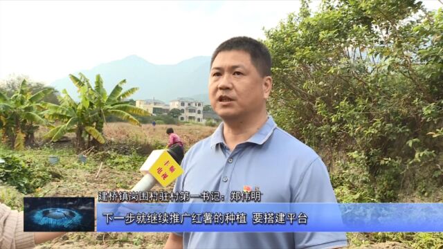 44建桥镇岗围村撂荒地变致富田