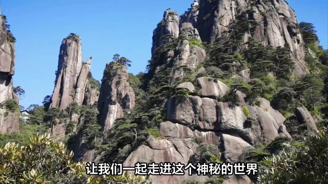 河北涞源白石山国家地质公园:动植物王国