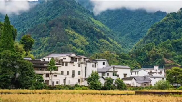 六峰堂所在的俞源村,地处盆地中间,空气流通效果相对较弱