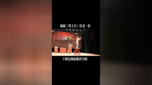 新乡市演艺公司豫剧团优秀青年演员王晓曼豫剧《梵王宫》挂画一折。