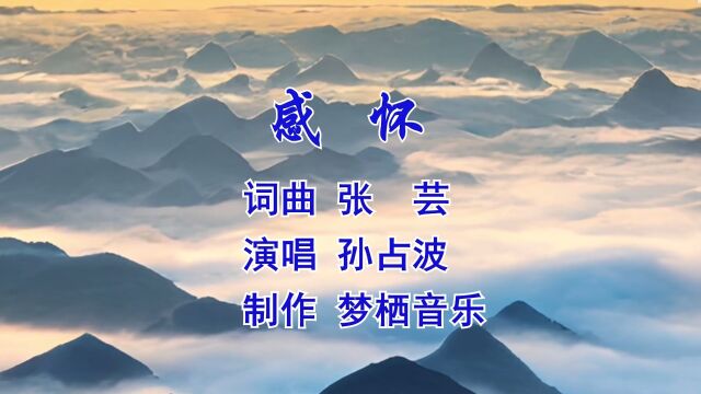 感怀 词曲:张芸 演唱:孙占波 制作:梦栖音乐