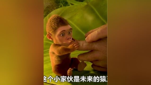 猿人首领遗弃弱小的儿子,却不知他会是最强的猿人,喜剧电影