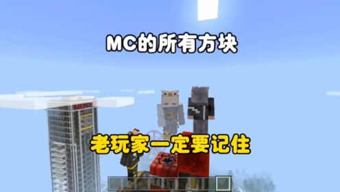 我的世界：MC所有方块，老玩家你们还记得这些方块吗？_高清1080P在线观看平台_腾讯视频
