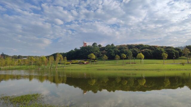 东莞的冬日风景,阳光明媚,花团锦簇