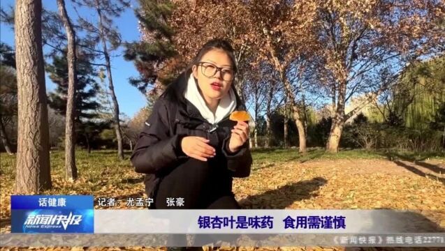 【话健康】银杏叶是味药 食用需谨慎