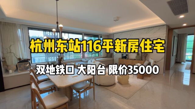 杭州东站116平新房住宅,双地铁口、大阳台,限价35000!