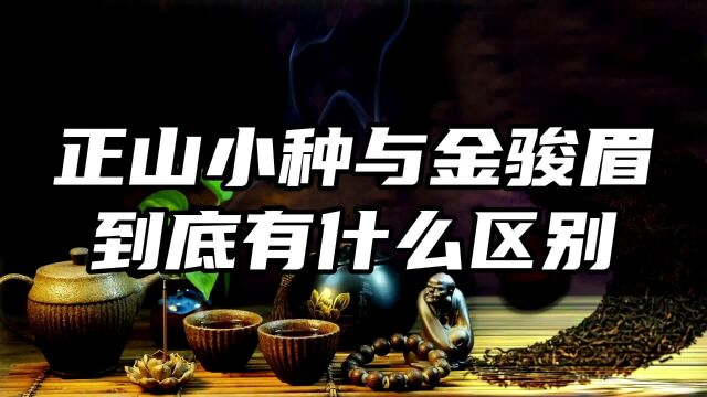 正山小种与金骏眉到底有什么区别?虽源出同门,竟有如此天壤之别 #茶 #茶知识 #茶文化