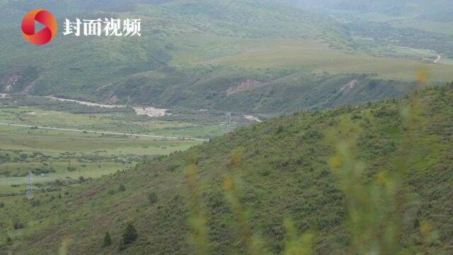 Vlog|在四川红原,遇见长江黄河分水岭|川流中国ⷤ𘊦𘸨ጀ