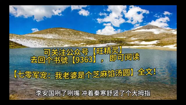 新品发布《七零军宠:我老婆是个芝麻馅汤圆》秦寒舒全文