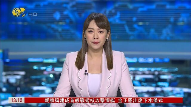 凤凰卫视:国家移民管理局夏季治安打击整治行动显成效