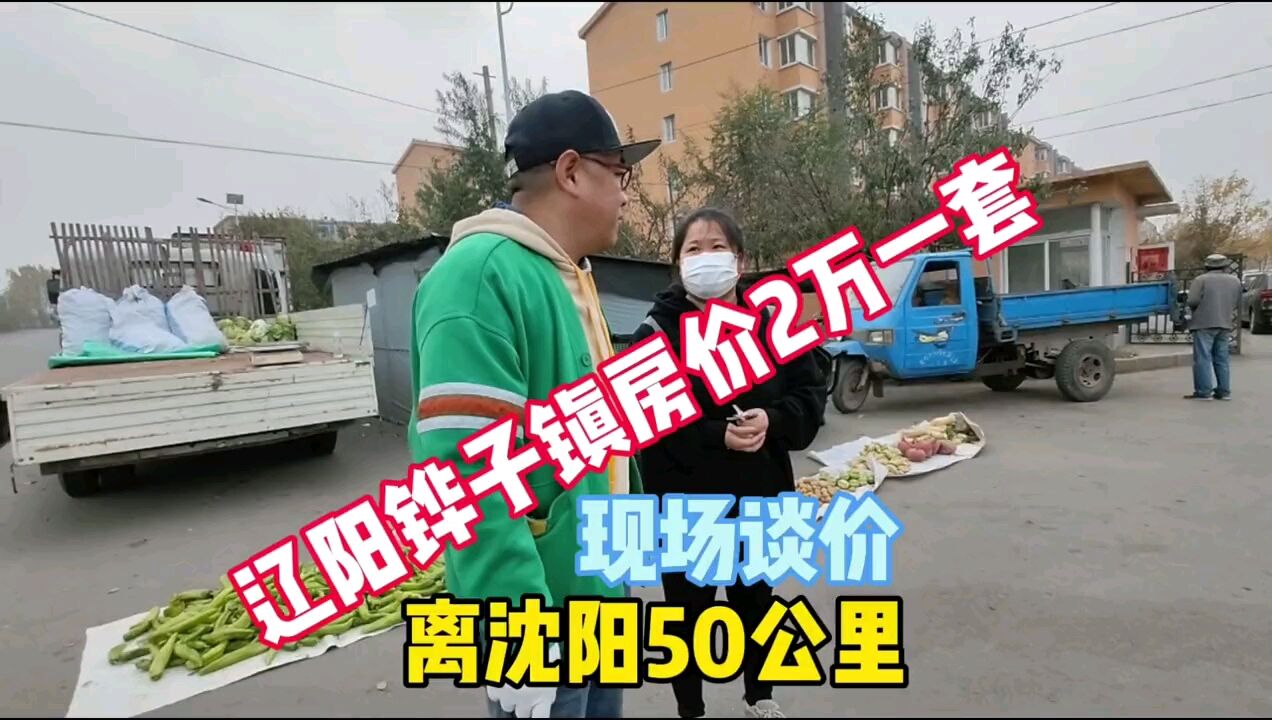辽宁省灯塔市铧子镇真实房价,鬼哥实地探房2万一套全程纪实拍摄#房价