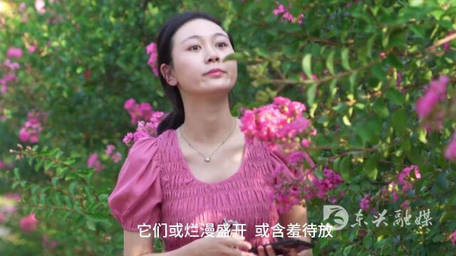 紫薇花开浪漫惹人醉,快去永福镇盘陀村打卡